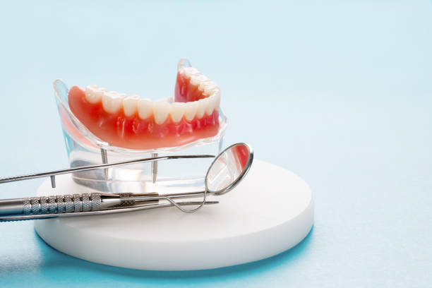 Best Emergency Dental Care  in Malmstrom Af, MT
